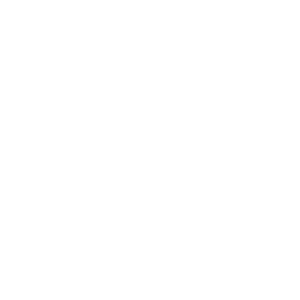 Customized services