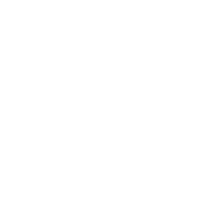 Licensed and insured moving